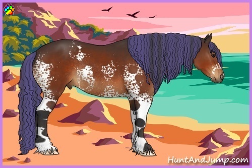 Horse Color:Painted White Spotted Bay Sabino Rabicano 