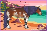 Horse Color:Painted White Spotted Bay Sabino Rabicano 