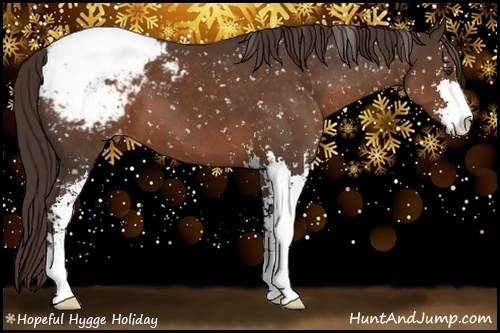 Horse Color:Liver Chestnut Sabino Appaloosa 