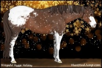 Horse Color:Liver Chestnut Sabino Appaloosa 