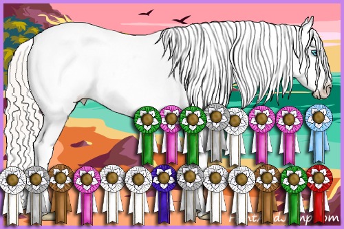 Horse Color:Cremello Dun Snowflake Varnish