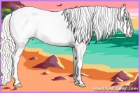 Horse Color:Cremello Dun Appaloosa 