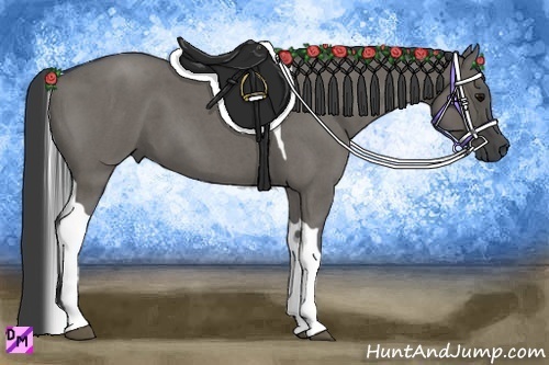 Horse Color:Grullo Roan Tobiano