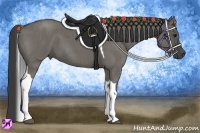 Horse Color:Grullo Roan Tobiano