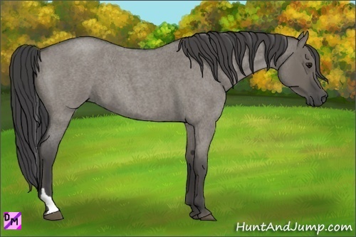Horse Color:Smoky Grullo Roan Tobiano 