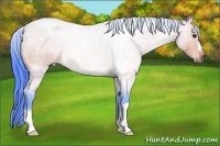 Horse Color:Watercolor Bay Roan 
