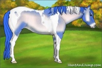 Horse Color:Watercolor Brown Roan Onyx Tobiano 