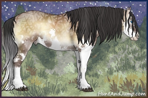 Horse Color:Bay Ice Onyx Sabino Splash