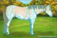 Horse Color:Thunderstruck White Spotted Bay Pearl Dun Splash
