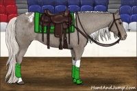 Horse Color:Silver Smoky Black Tobiano Varnish