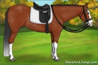 Horse Color:Bay Splash Rabicano