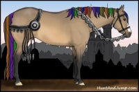 Horse Color:Painted Buckskin Dun 