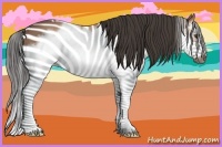 Horse Color:Bay Splash Frame