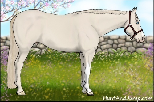 Horse Color:Smoky Creme 