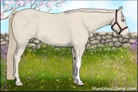 Horse Color:Smoky Creme 