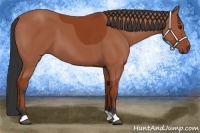 Horse Color:Bay Frame 