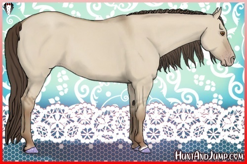 Horse Color:Classic Champagne Dun 