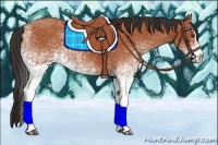 Horse Color:White Spotted Bay Splash  and White Spotted Bay Splash 