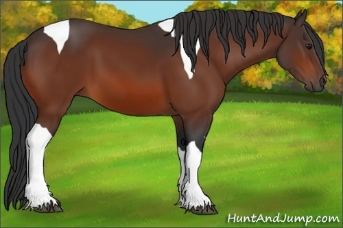 Horse Color:Bay Tobiano