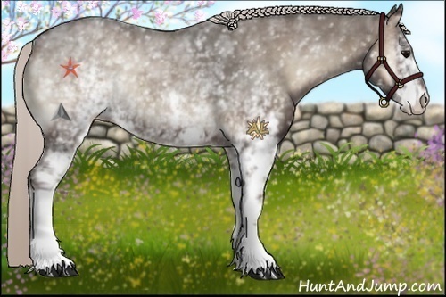 Horse Color:White Spotted Silver Blue Onyx 