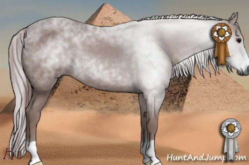 Horse Color:Gray Chocolate Black