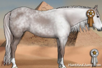 Horse Color:Gray Chocolate Black