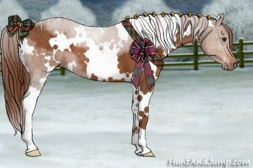 Horse Color:White Spotted Chestnut 