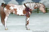Horse Color:White Spotted Chestnut 