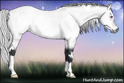 Horse Color:White Spotted Silver Bay Chinchilla Rabicano 