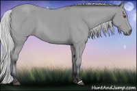 Horse Color:Silver Bay Chinchilla