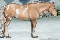 Horse Color:White Spotted Chocolate Palomino Pearl 
