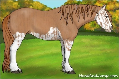Horse Color:Chestnut Tobiano and Chestnut Splash