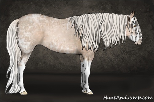 Horse Color:Silver Brown Ice Pearl Splash 