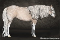 Horse Color:Silver Brown Ice Pearl Splash 