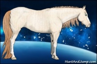 Horse Color:Buckskin Roan Pearl and Amber Cream Champagne Roan Pearl