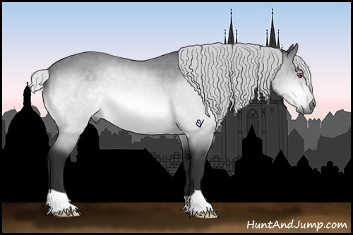 Horse Color:Silver Brown Chinchilla 