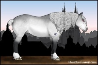 Horse Color:Silver Brown Chinchilla 