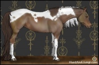 Horse Color:Liver Chestnut Tobiano 