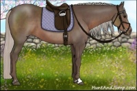 Horse Color:Silver Black Sabino 