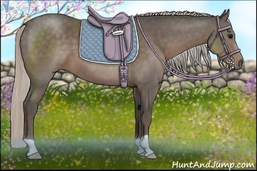 Horse Color:Silver Black 