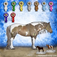 Horse Color:White Spotted Chocolate Palomino Tobiano