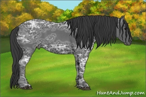 Horse Color:Smoky Blue Ice Roan 