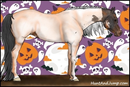 Horse Color:Black Tobiano Near Fewspot
