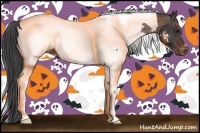 Horse Color:Black Tobiano Near Fewspot 