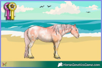 Horse Color:White Spotted Silver Sable Cream Champagne Pearl Dun 
