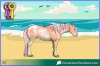 Horse Color:White Spotted Silver Sable Cream Champagne Pearl Dun 