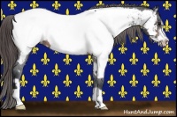 Horse Color:Brown Frame Appaloosa 