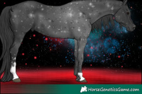 Horse Color:Black Sabino 