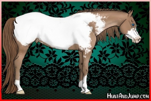 Horse Color:Black Pearl Frame Near Fewspot