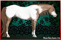Horse Color:Black Pearl Frame Near Fewspot 